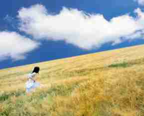 制​作‌python程‌序﻿